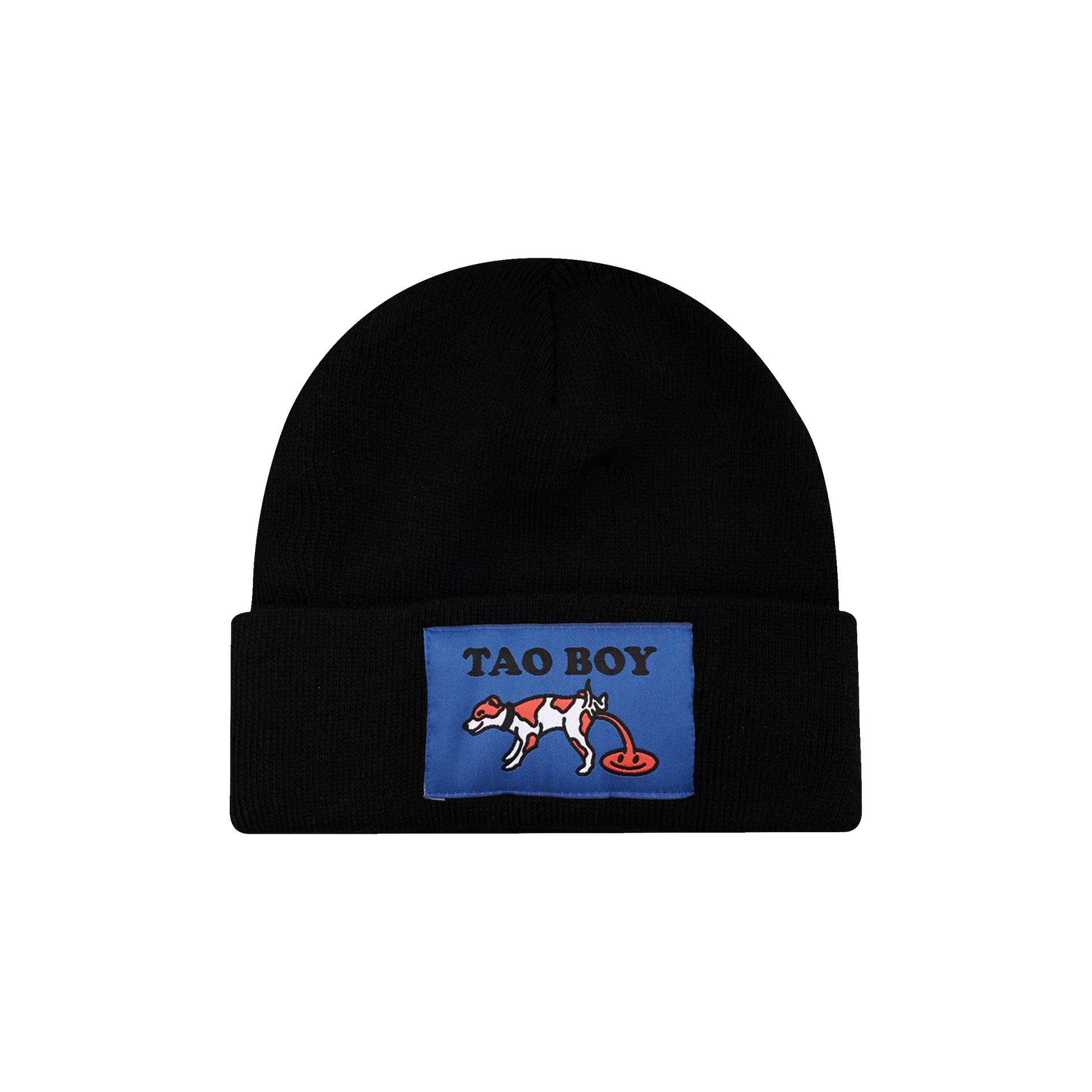 TAOBOY BEANIE