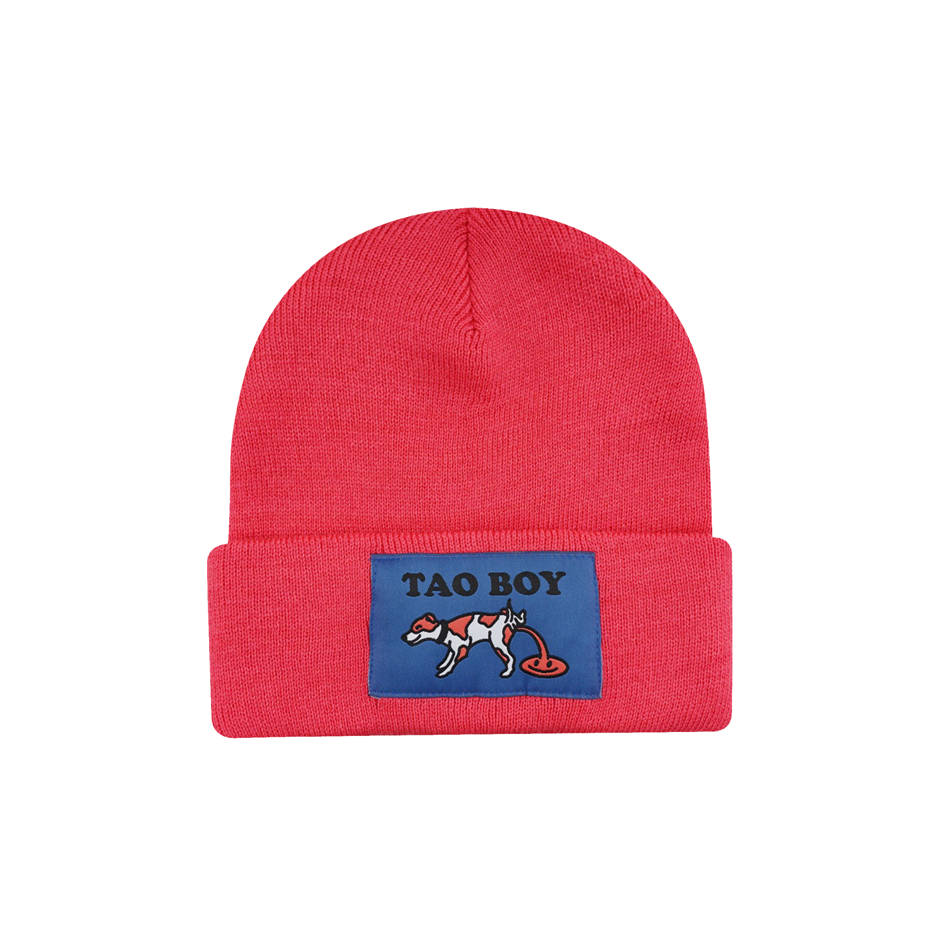 TAOBOY BEANIE