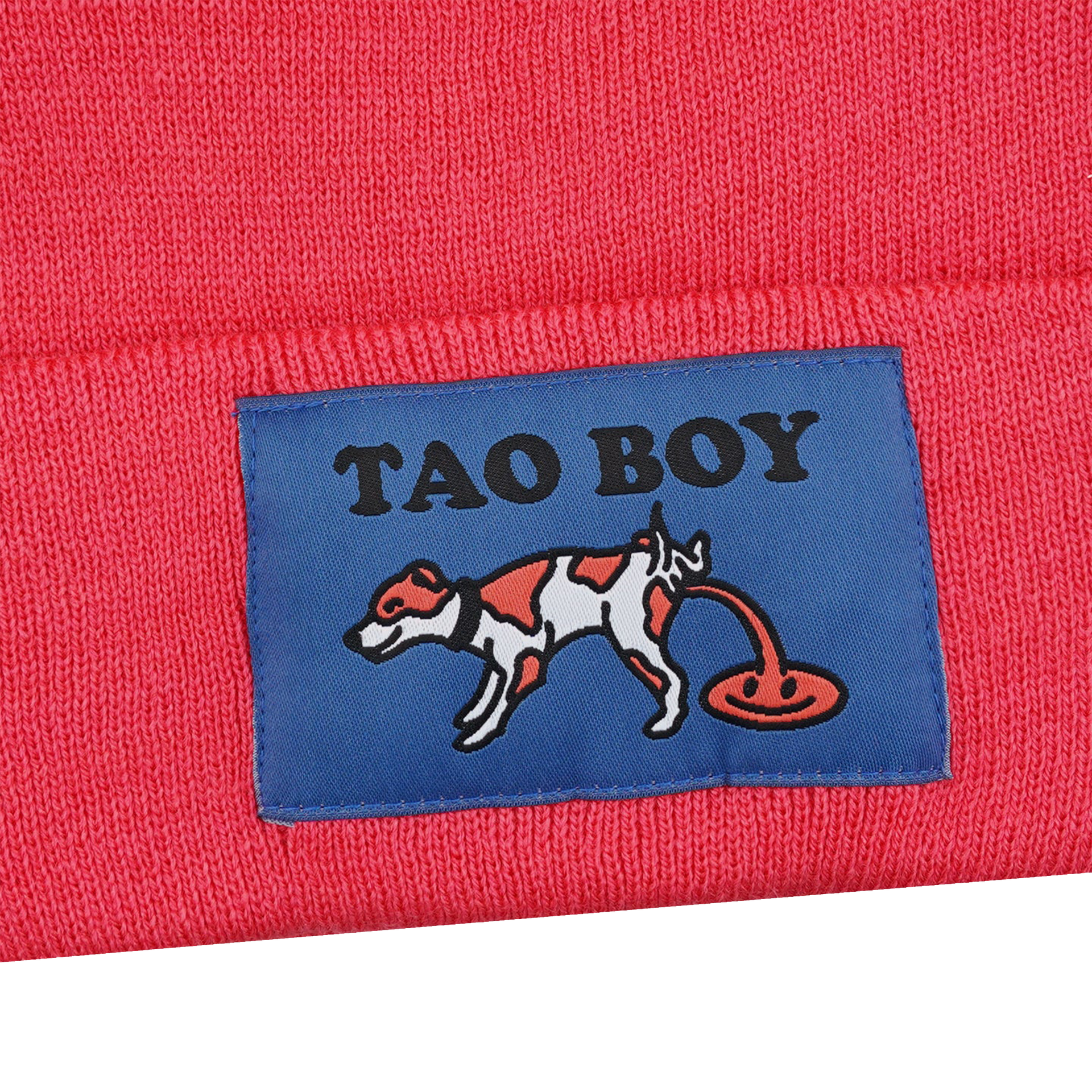 TAOBOY BEANIE